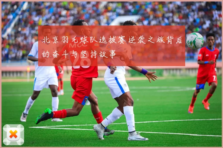 北京羽毛球队选拔赛逆袭之旅背后的奋斗与坚持故事